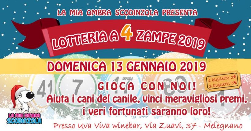 Lotteria a 4 Zampe 2019