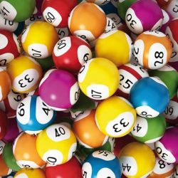 Numeri vincenti Lotteria a 4 Zampe 2019
